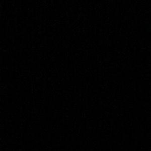 Meet your Posher, Rosa